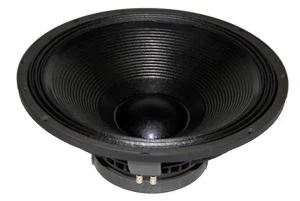 18 tuuman 1000 W PA-kaiutin